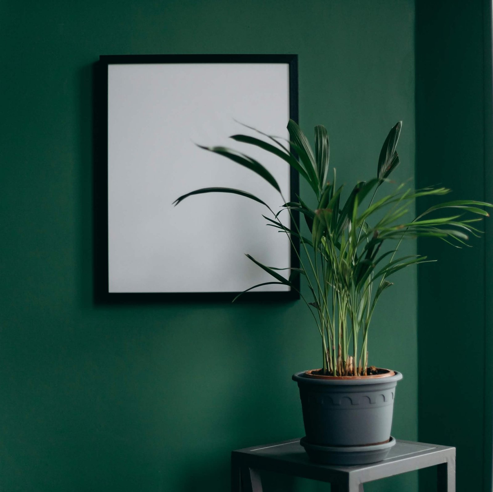 Décoration intérieure design